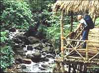 Hotel Green Magic Nature Resorts, Wayanad