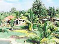 Hotel Kairali Ayurvedic Health Resort, Palakkad