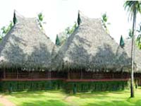 Hotel Marari Beach Resort, Alleppey