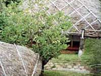 Hotel Spice Village, Thekkady