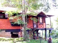 Hotel Stream Valley Cottages, Wayanad